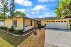 10320 Out Island Dr, TAMPA