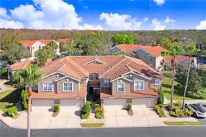 4984 Anniston Cir, TAMPA