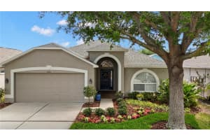 3204 Prairie Iris Dr, LAND O LAKES