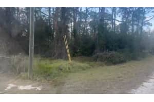 311 Wilson Ln Ne, LAKE PLACID