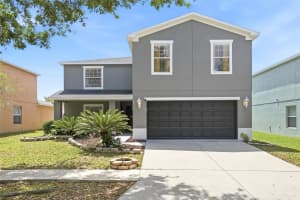 30902 Temple Stand Ave, WESLEY CHAPEL