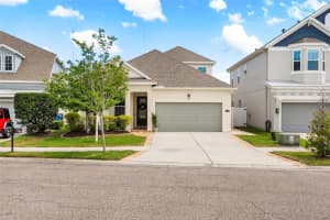 8115 Champions Forest Way, TAMPA