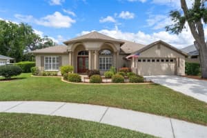 21133 Marsh Hawk Dr, LAND O LAKES
