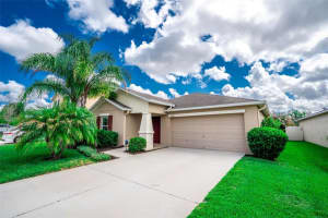 17132 White Mangrove Dr, WIMAUMA
