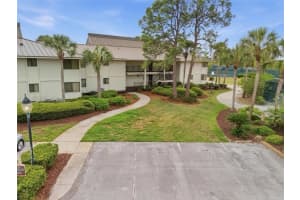 29130 Bay Hollow Dr #3313, WESLEY CHAPEL