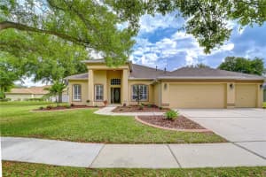 14112 Creek Run Dr, RIVERVIEW