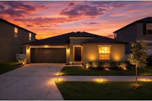 12873 Tripoli Ave, RIVERVIEW