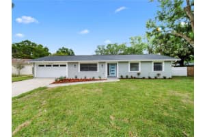 11315 Carrollwood Estates Dr, TAMPA