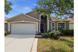 29430 Sea Dahlia Pass, WESLEY CHAPEL