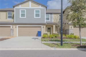 17711 Nectar Flume Dr, LAND O LAKES