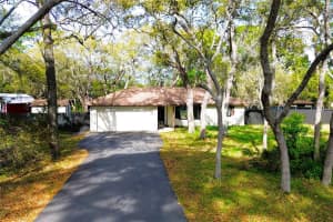3201 Bartlett St, SPRING HILL