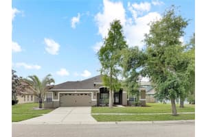 6817 Cromwell Garden Dr, APOLLO BEACH
