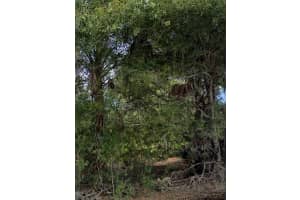 3439 Tiffiny St, PUNTA GORDA 3439 Tiffiny St, PUNTA GORDA