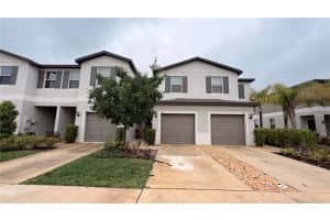 3622 Bellmead, WESLEY CHAPEL