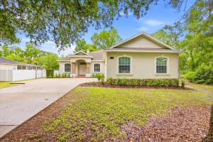 713 Whitehall St, PLANT CITY