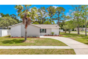 14031 Arbor Knoll Cir, TAMPA