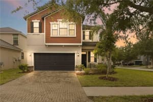 1001 Oliveto Verdi Ct, BRANDON