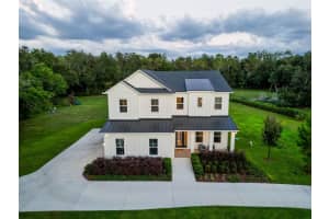 2890 Alexandria Marie Ln, LUTZ