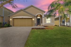 3031 Downan Point Dr, LAND O LAKES