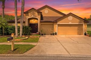 3345 Brenford Pl, LAND O LAKES