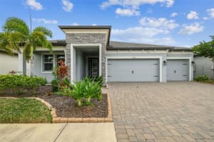 10752 Green Harvest Dr, RIVERVIEW