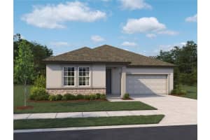 10155 Hidden Hammock Loop, PARRISH