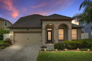 19099 Long Lake Ranch Blvd, LUTZ 19099 Long Lake Ranch Blvd, LUTZ