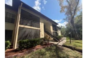3301 Crystal Ct E #o, PALM HARBOR