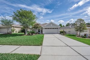 3054 Banyan Hill Ln, LAND O LAKES
