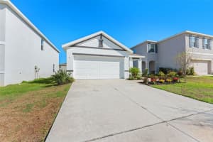 10918 Trailing Vine Dr, TAMPA