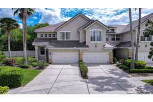 14507 Mirabelle Vista Cir, TAMPA 14507 Mirabelle Vista Cir, TAMPA