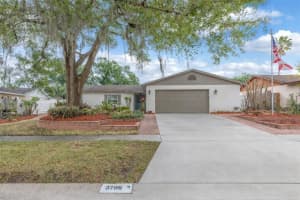 3706 Orangecrest St, VALRICO