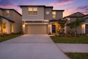 15515 Peace River Pl, SUN CITY CENTER