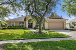 8519 Portage Ave, TAMPA