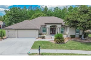 21234 Tangor Rd, LAND O LAKES