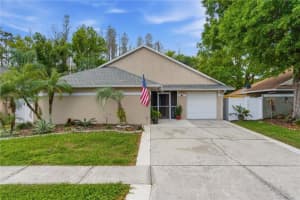 11914 Sugar Tree Dr, TAMPA 11914 Sugar Tree Dr, TAMPA