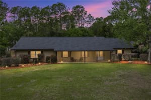 7601 Thunderhead St, WESLEY CHAPEL