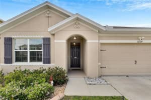 10324 Geese Trail Cir, SUN CITY CENTER