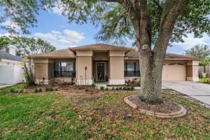 9407 Pebble Glen Ave, TAMPA