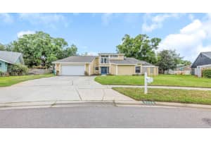 3334 Brian Rd N, PALM HARBOR