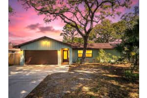 1505 Michigan Ave, PALM HARBOR