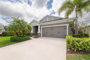6210 Heirloom Pl, APOLLO BEACH