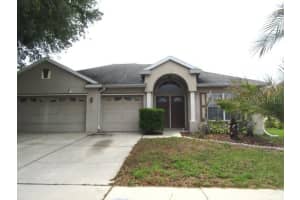 23113 Emerson Way, LAND O LAKES