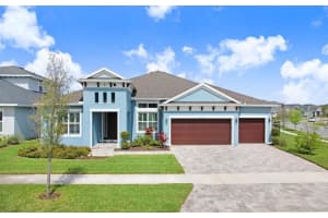 16247 November Rain Ct, LAND O LAKES