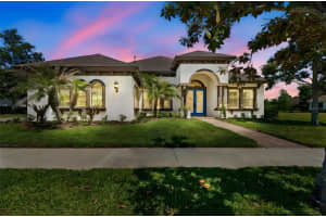 20439 Lace Cascade Rd, LAND O LAKES