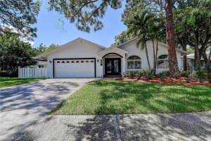 13920 Egret Ln, CLEARWATER
