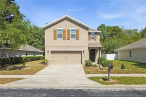 13755 Covey Run Pl, SPRING HILL