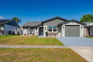 12423 Mondragon Dr, TAMPA