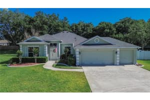 4810 Water Lark Way, VALRICO