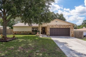 18619 Yokam Ave, LUTZ 18619 Yokam Ave, LUTZ